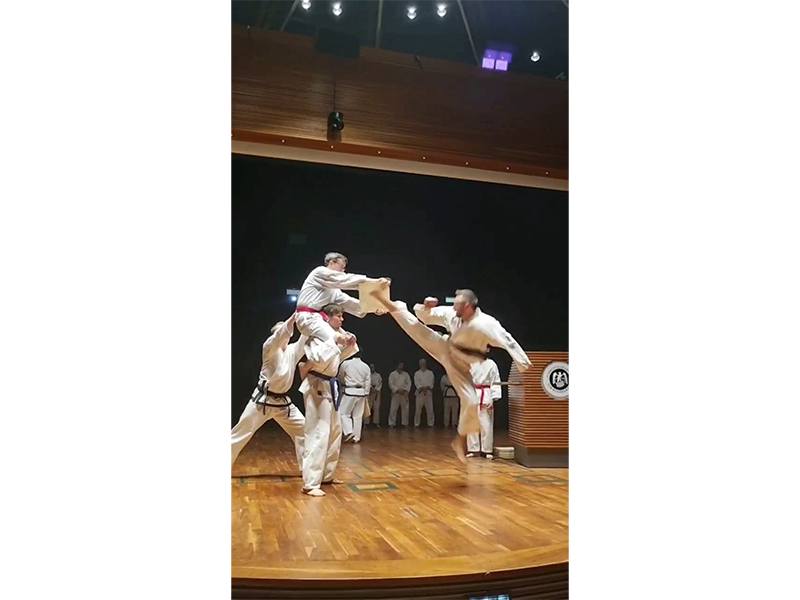 Taekwondo Harburg Schule aus Hamburg