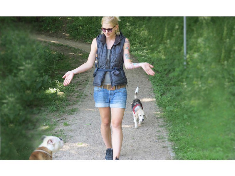 Tamimo Dogs Hundebetreuung aus Hamburg Tamimo Dogs Hundebetreuung aus Hamburg