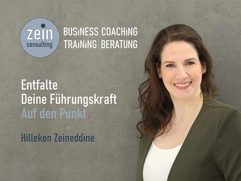 zein consulting - Hilleken Zeineddine in Hamburg - Logo