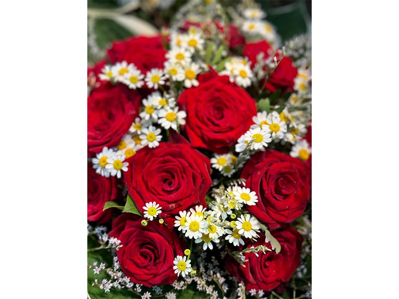 Hanse Blumen aus Hamburg