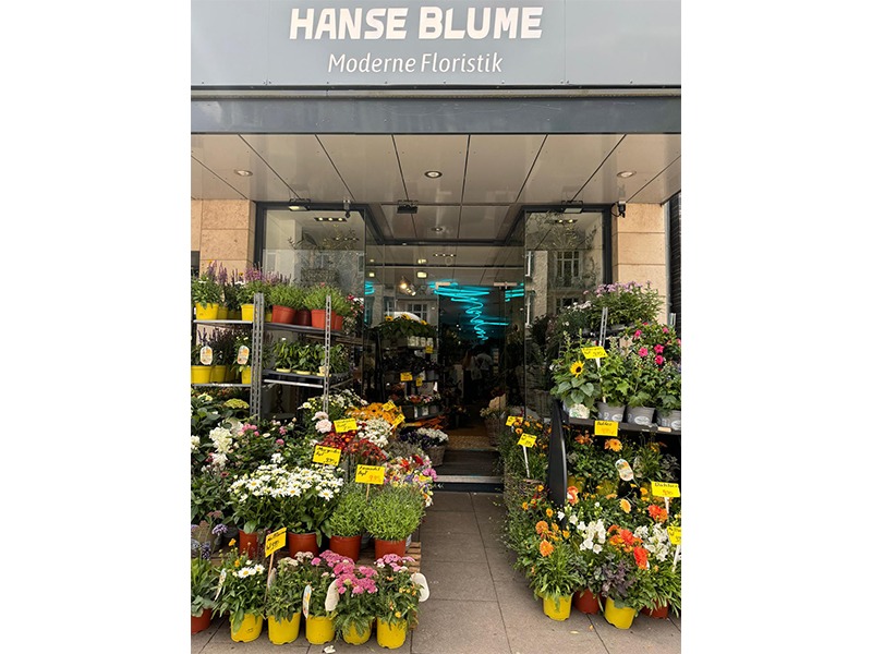 Hanse Blumen Inh.: Ünal Bayram in Hamburg - Logo