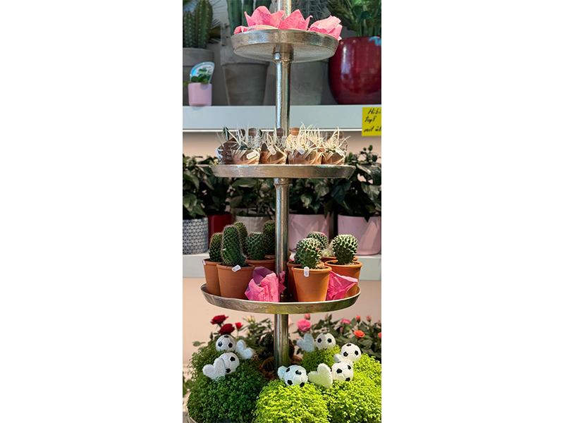 Hanse Blumen aus Hamburg