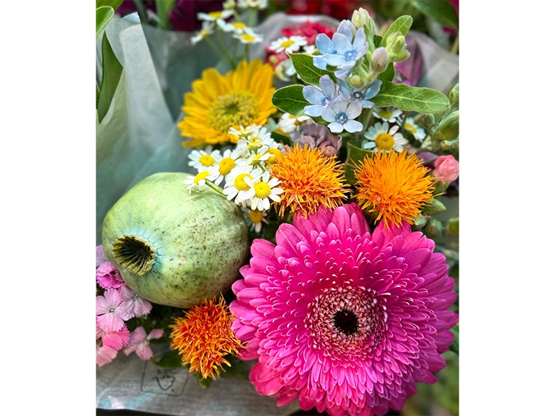 Hanse Blumen aus Hamburg