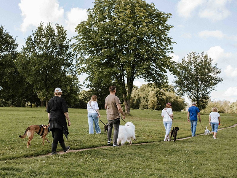 Meynhundetraining Julia Meyn aus Hamburg Meynhundetraining Julia Meyn aus Hamburg