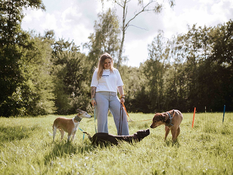 Meynhundetraining Julia Meyn aus Hamburg Meynhundetraining Julia Meyn aus Hamburg