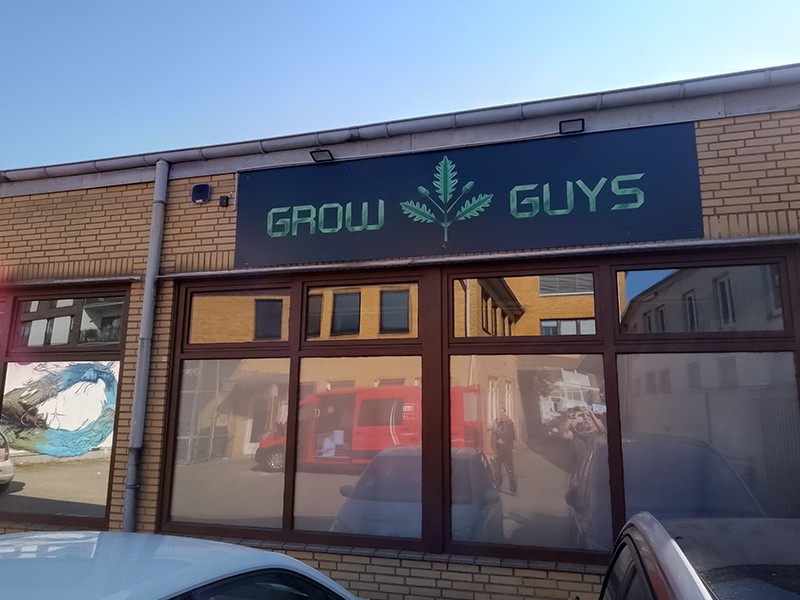Growguys in Hamburg - Logo