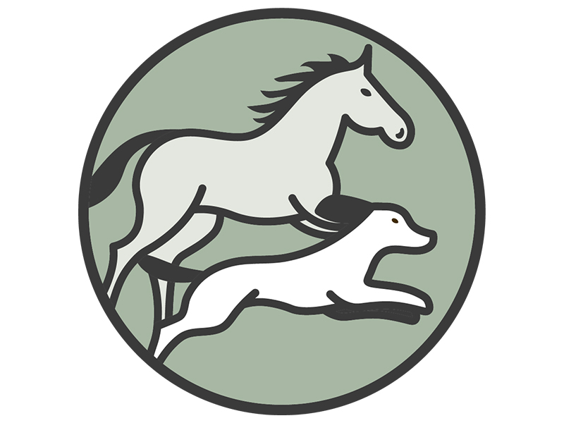 Tierphysiotherapie Jana Guthmann aus Hamburg Tierphysiotherapie Jana Guthmann aus Hamburg