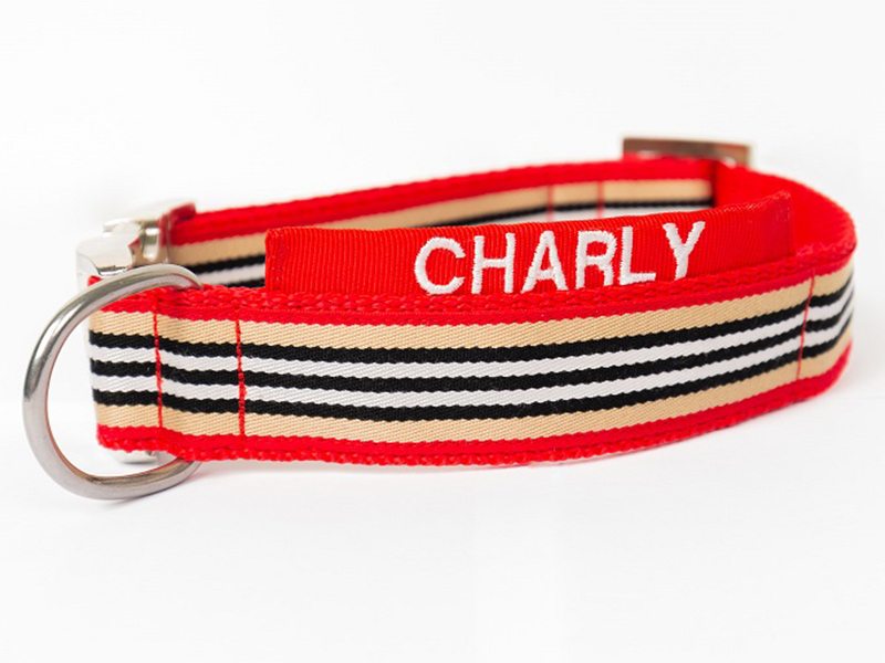 Princess Pets Ora Ebeling aus Bönningstedt