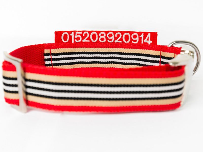 Princess Pets Ora Ebeling aus Bönningstedt