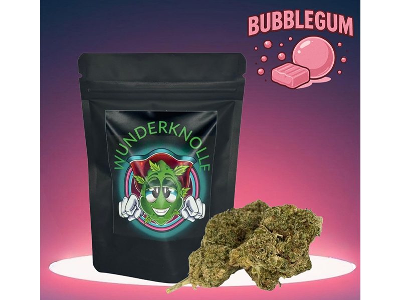 Wunderknolle CBD-Store aus Hamburg