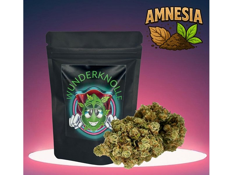 Wunderknolle CBD-Store aus Hamburg