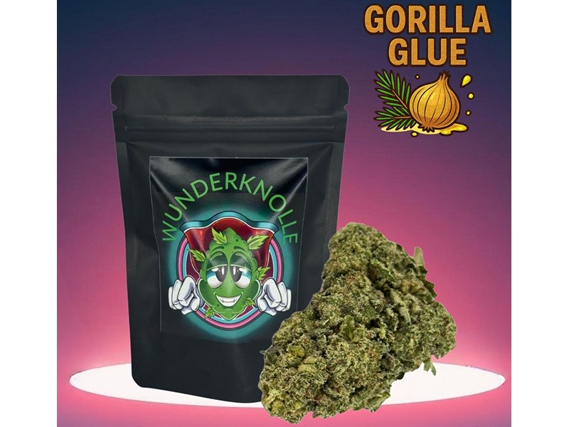 Wunderknolle CBD-Store aus Hamburg