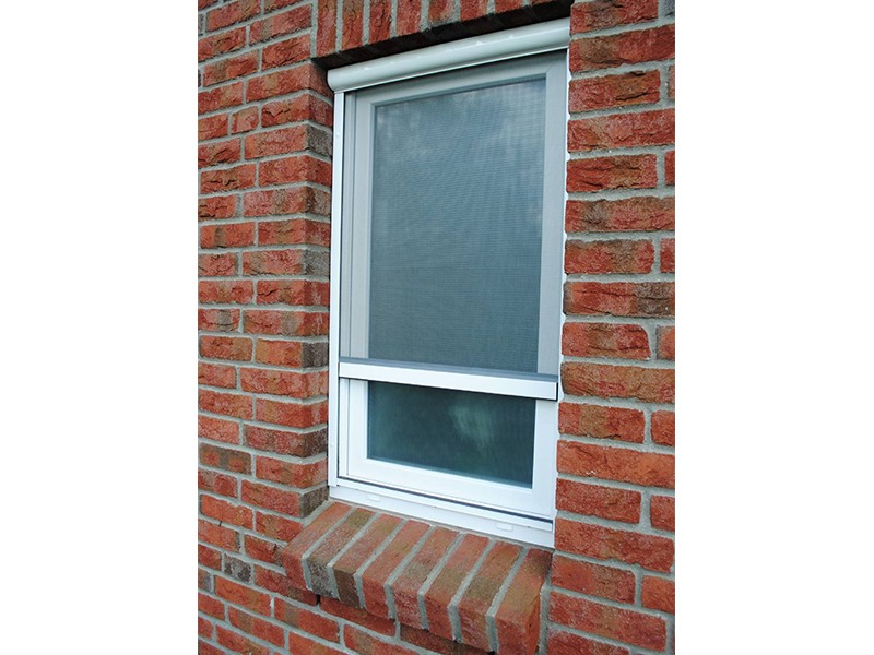 Fenster und Insektenschutz