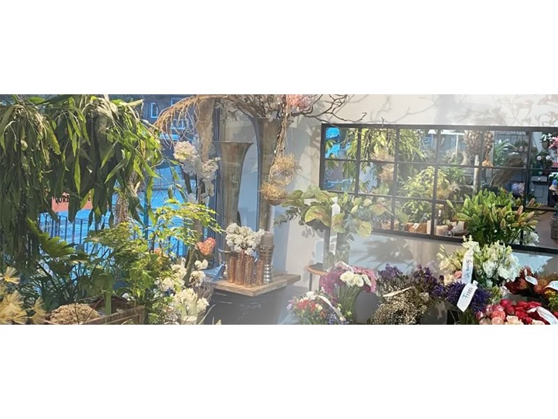 Blumen Anke Tomfort in Hamburg