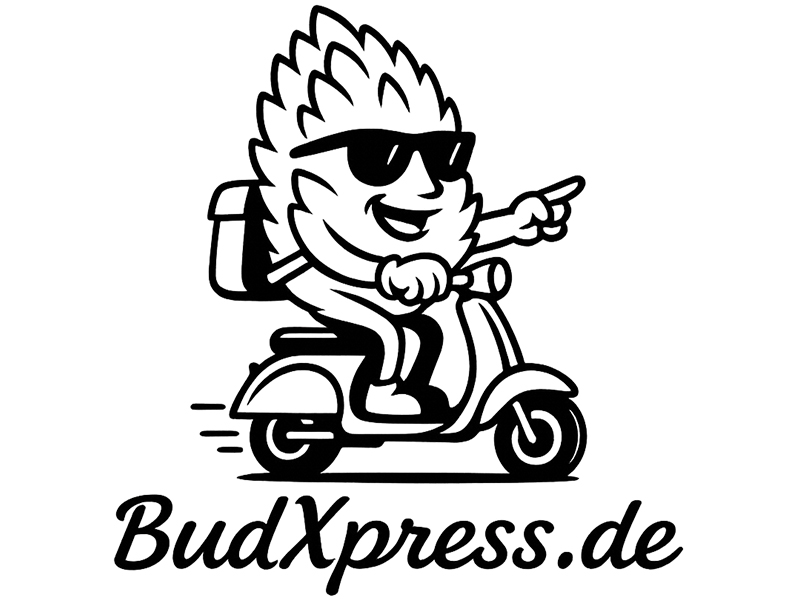 budxpress.de aus Hamburg