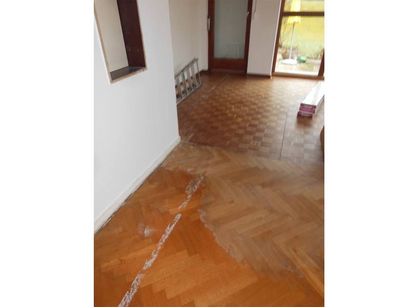 Agentur Albatros aus Hamburg