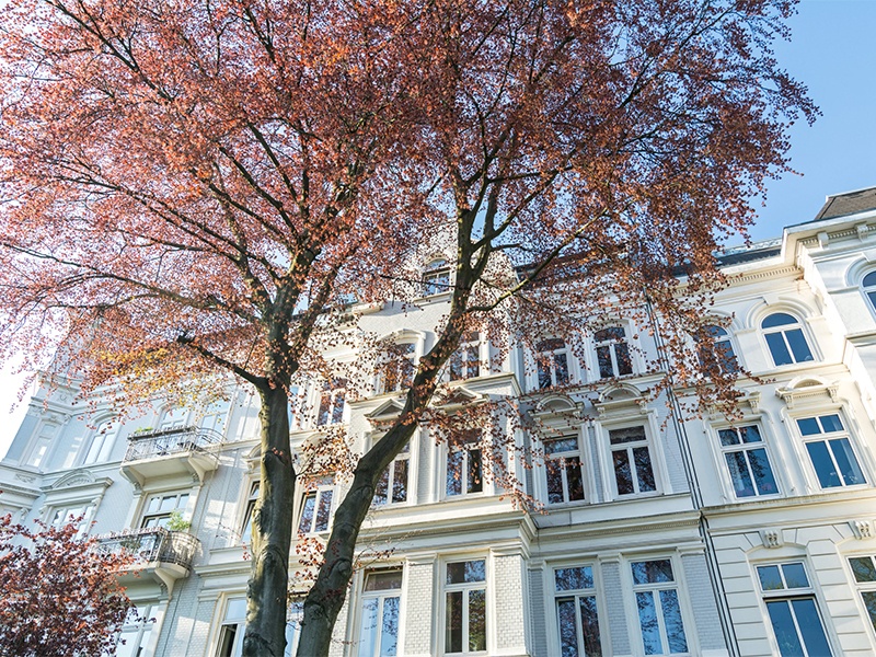 Manek-Consulting aus Hamburg