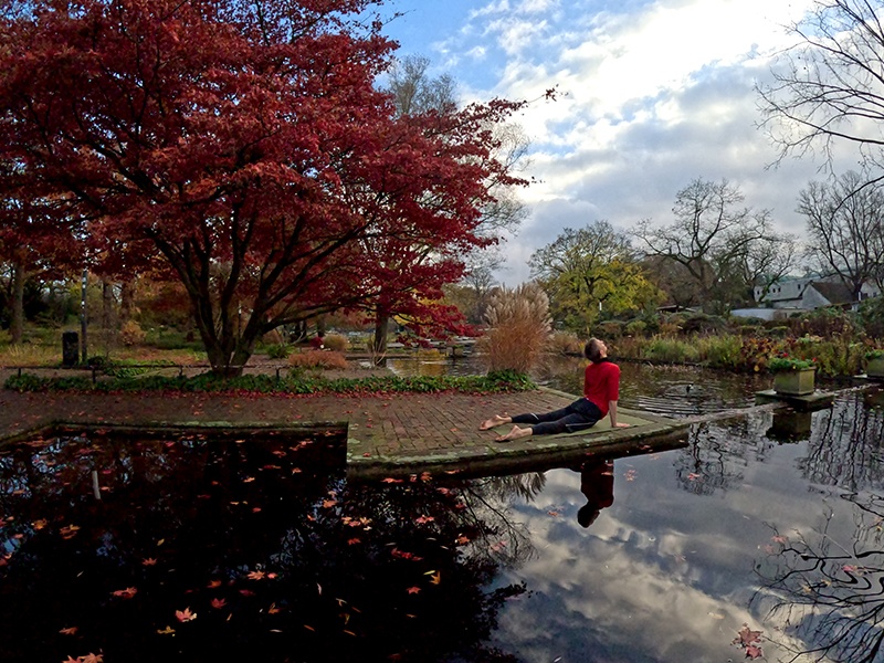 ashtangayoga.hamburg Florian Süßer aus Hamburg