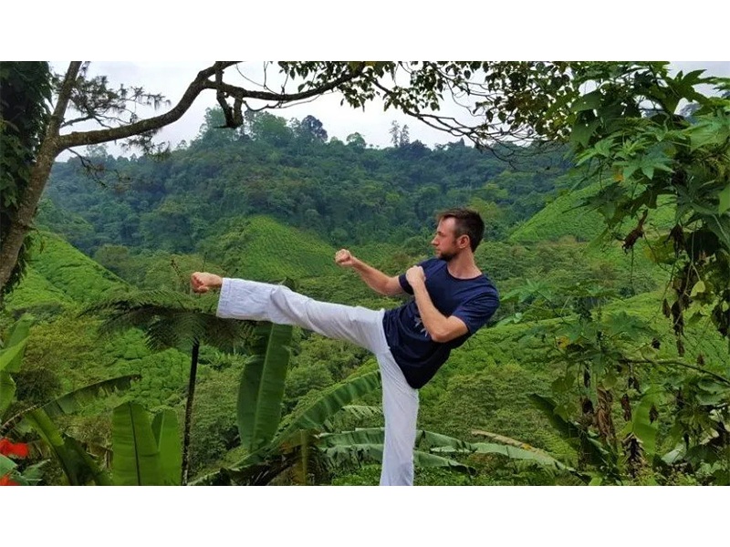 Taekwondo Harburg Schule aus Hamburg