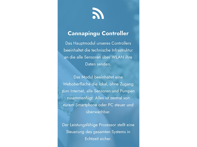 Cannapingu Cannabis Club aus Hamburg