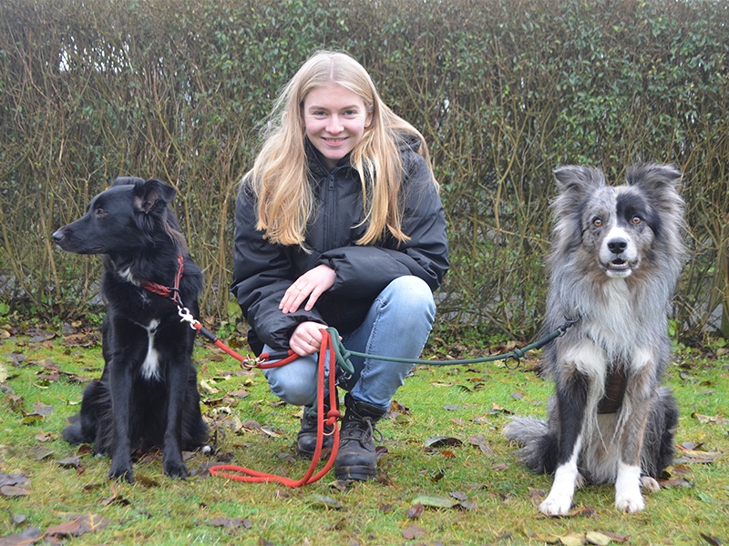 Nordpfoten Svenja Kaepke aus Hamburg