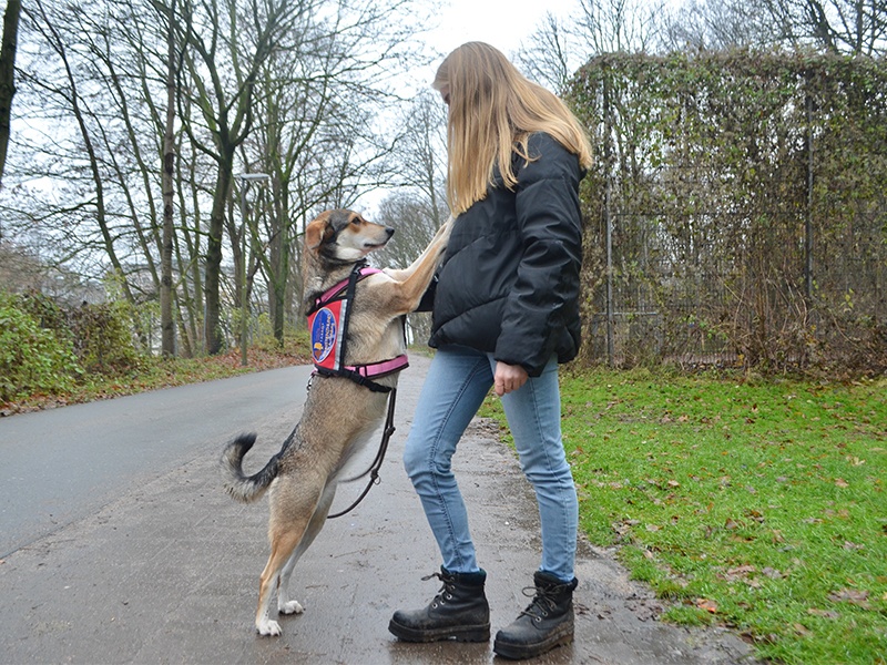 Nordpfoten Svenja Kaepke aus Hamburg