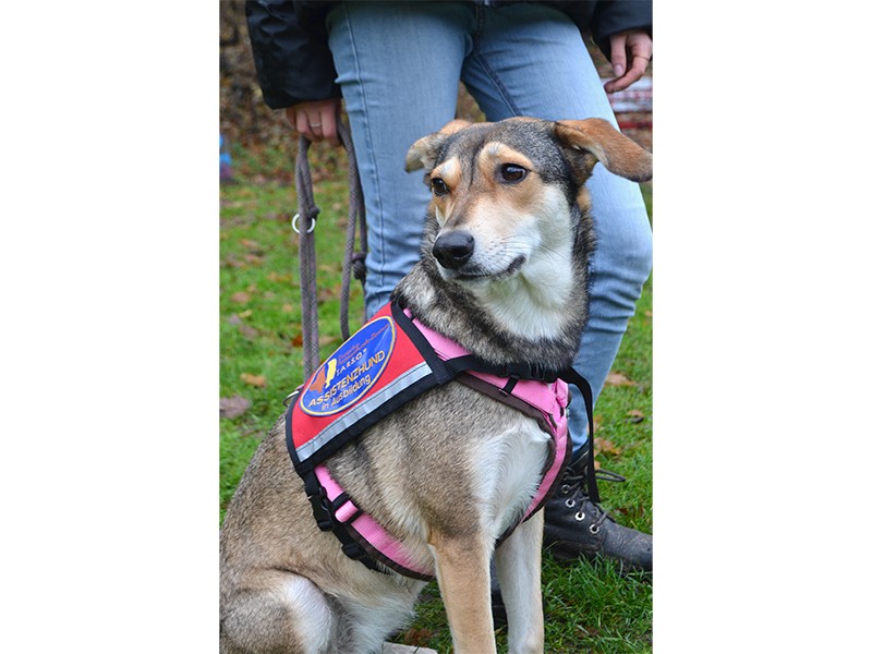 Nordpfoten Svenja Kaepke aus Hamburg