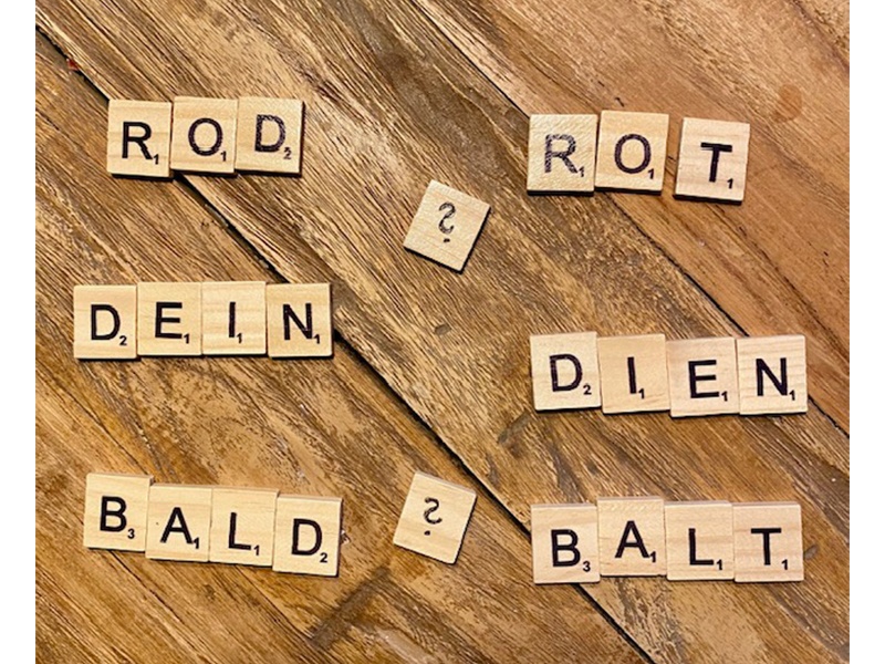 Lernlaube aus Hamburg