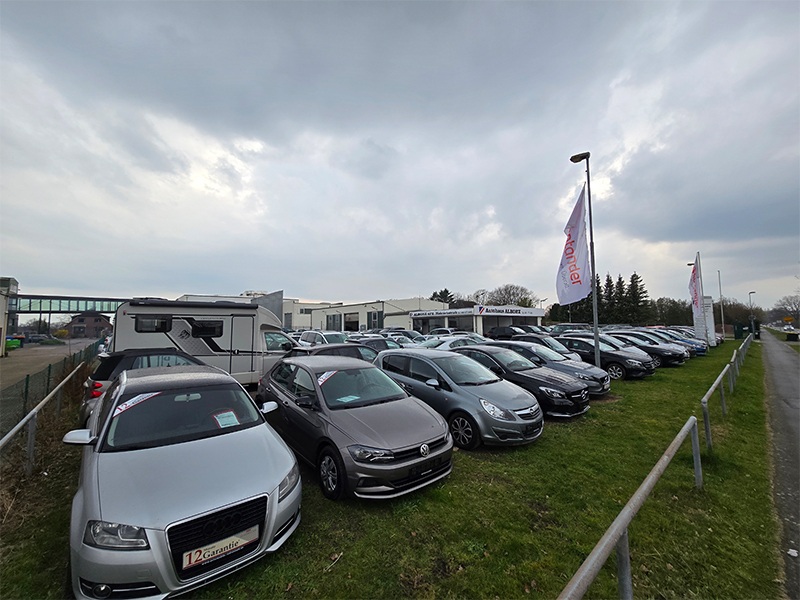 MH Performance Seyed Shahsaheby aus Stapelfeld