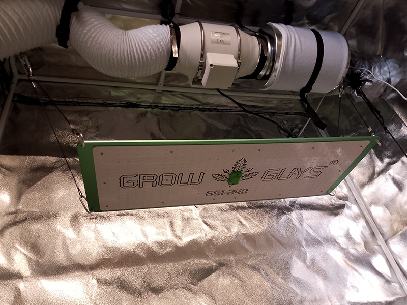 Growguys GbR aus Hamburg