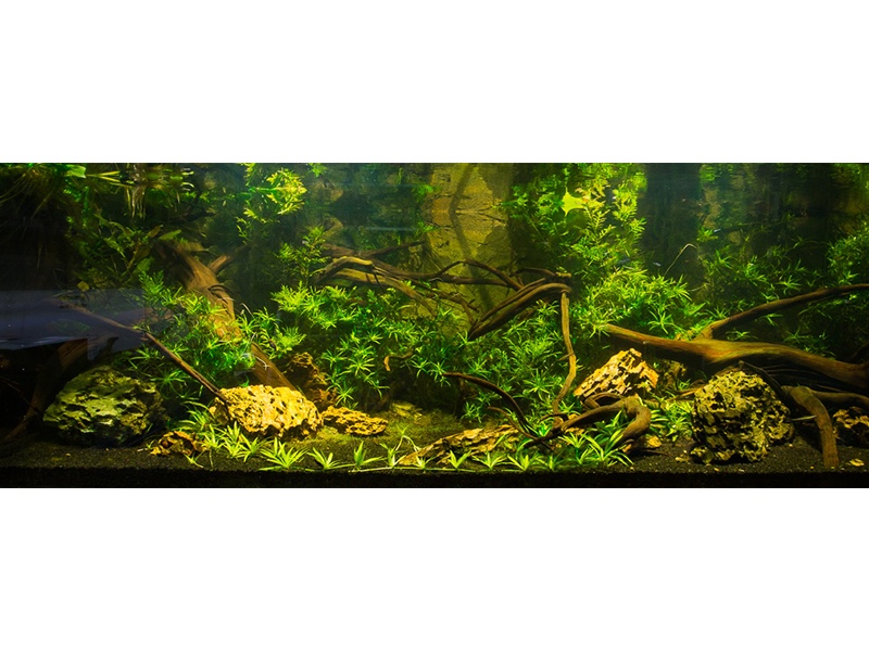 AQUARIUM TONNDORF aus Hamburg