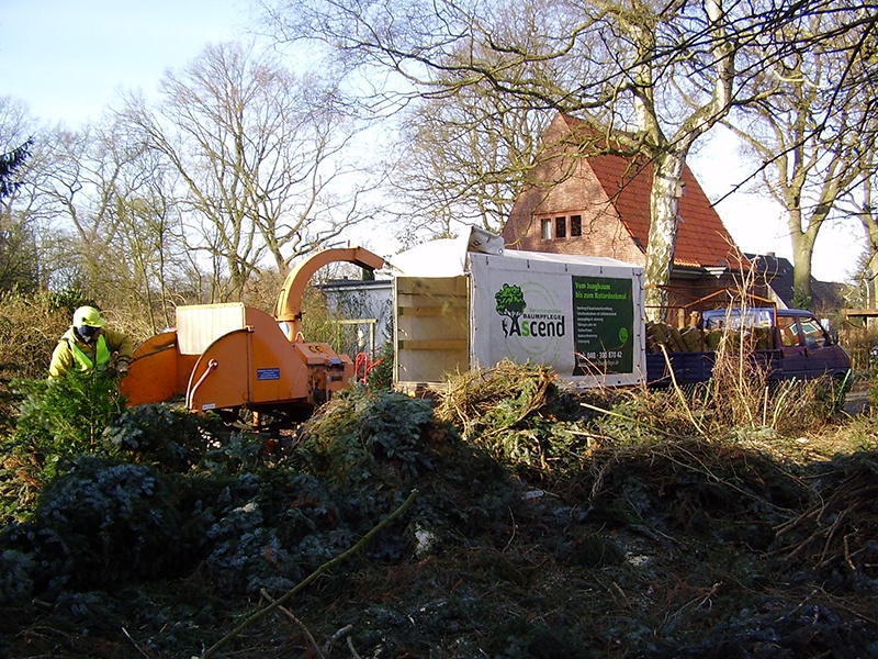 ASCEND Baumpflege aus Hamburg