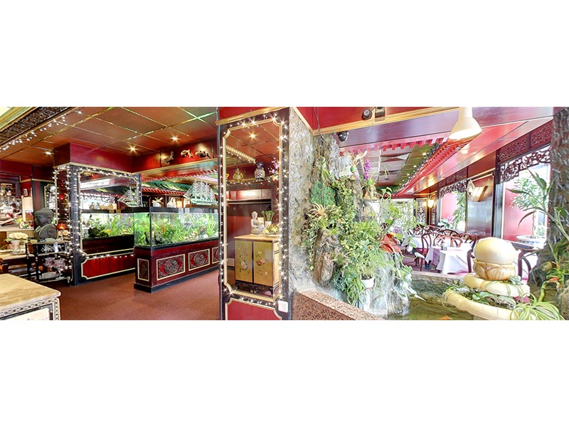 Orchideen Palast GmbH aus Hamburg