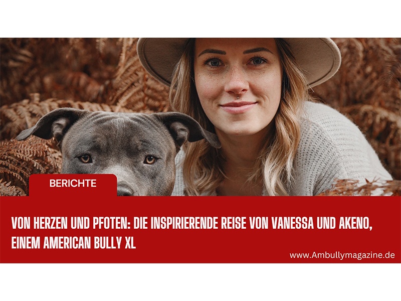 Bullyion American Bully Magazine aus Hamburg Bullyion American Bully Magazine aus Hamburg