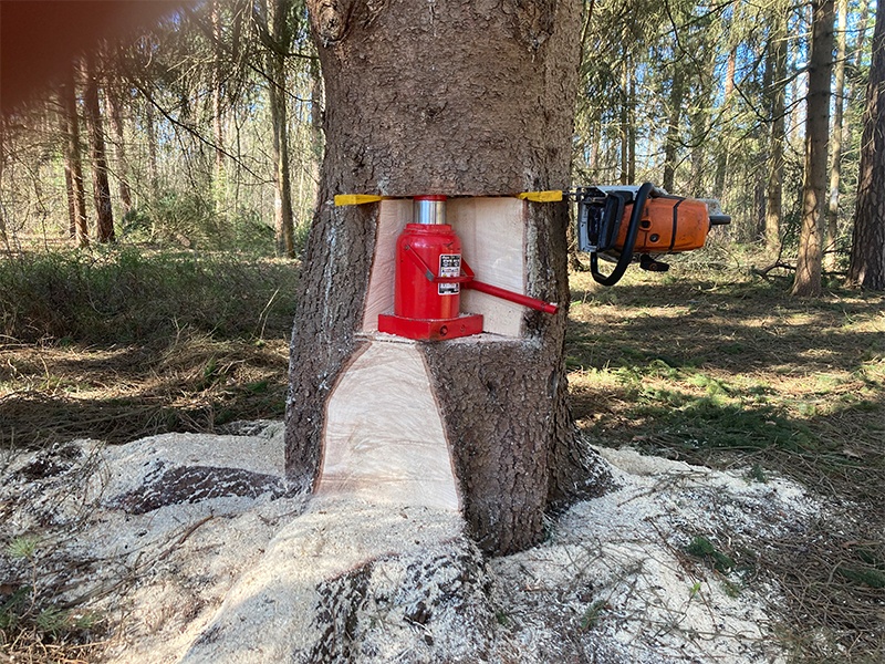 Baumfällung mit Hydraulikheber Baumfällung mit Hydraulikheber