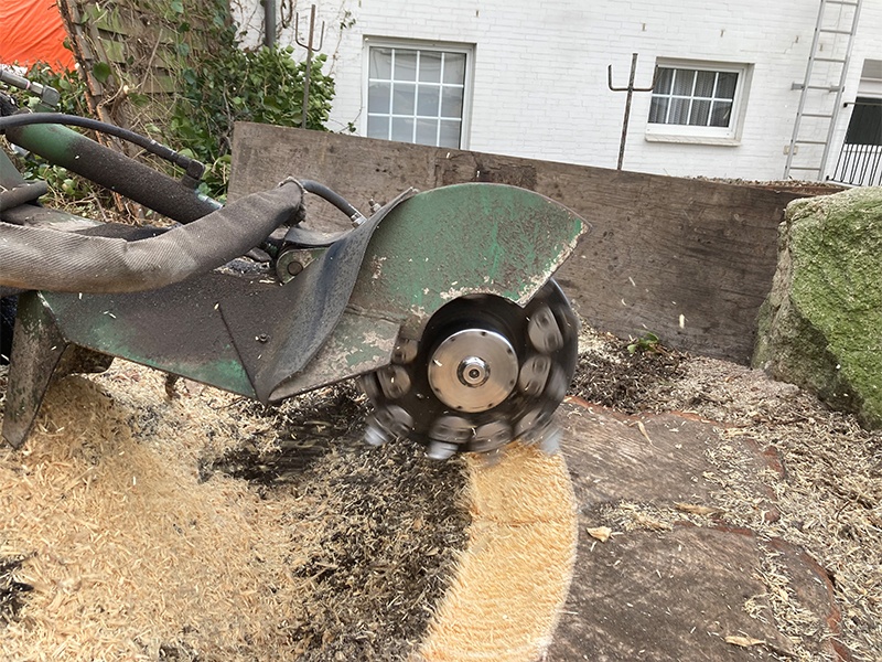 Stubbenfräsen Stubbenfräsen