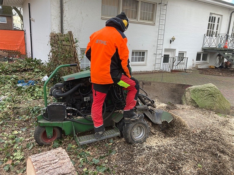 Stubbenfräsen Stubbenfräsen