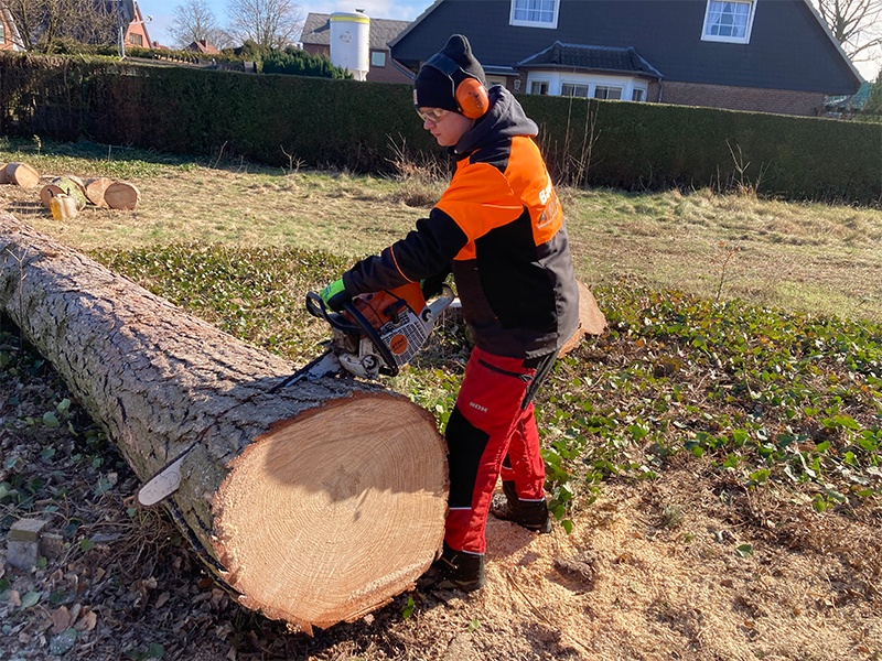 Stammholz zersägen Stammholz zersägen