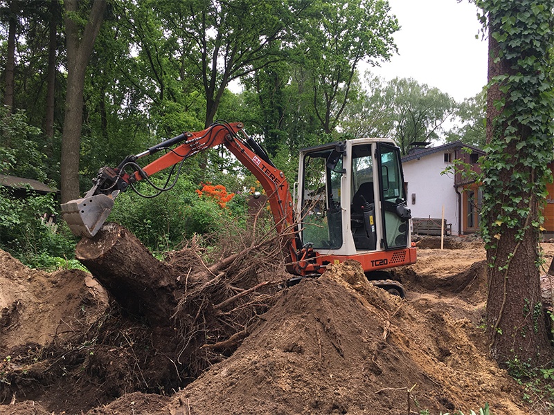 Stubbenrodung Stubbenrodung