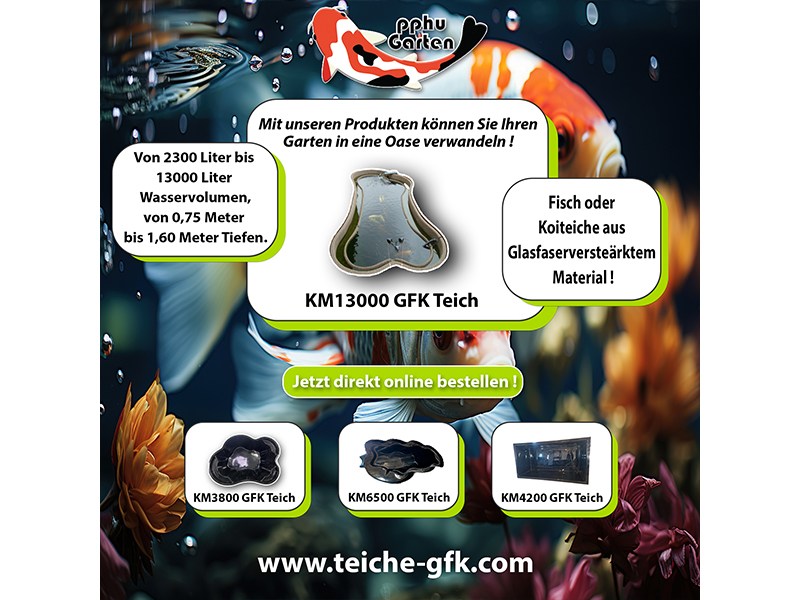 Gfk Gartenteiche aus Lüneburg