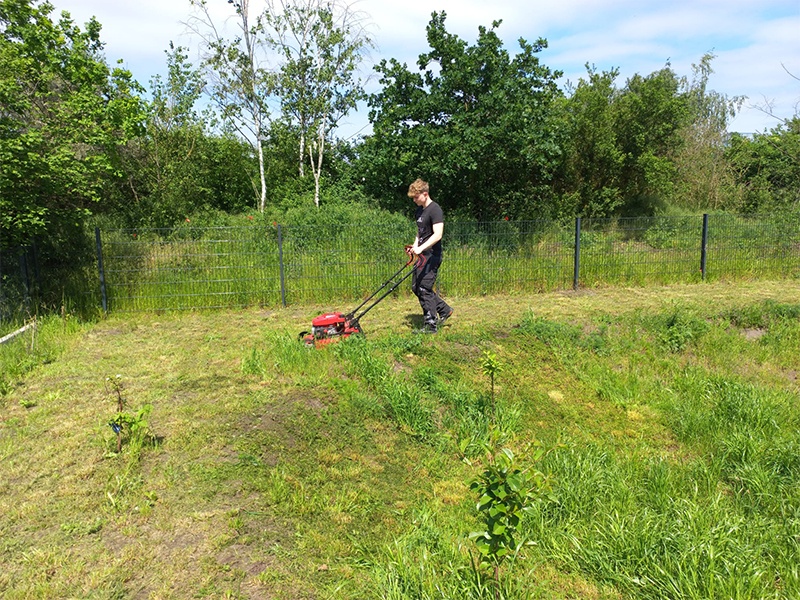 Martens Services aus Wittorf