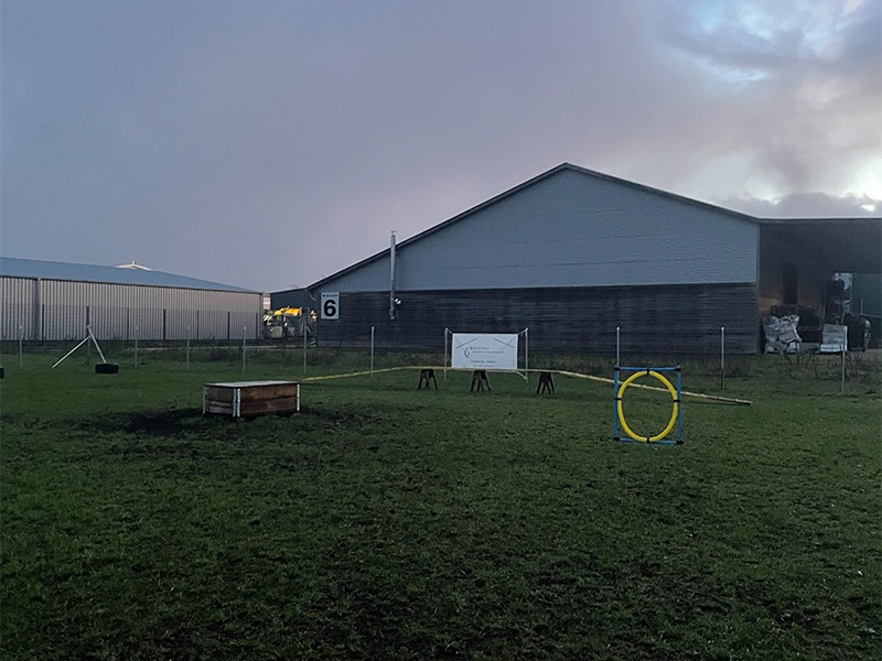 Hundeschule in Radbruch aus Radbruch