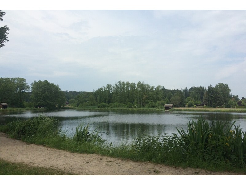 Angelsee Bendestorfer Wassermühle aus Bendestorf