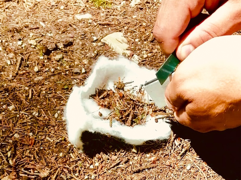 Adventure.Survival & Prepper aus Walsrode Adventure.Survival & Prepper aus Walsrode
