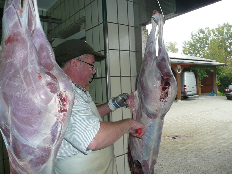 Blajus Wildhandlung aus Soltau Blajus Wildhandlung aus Soltau