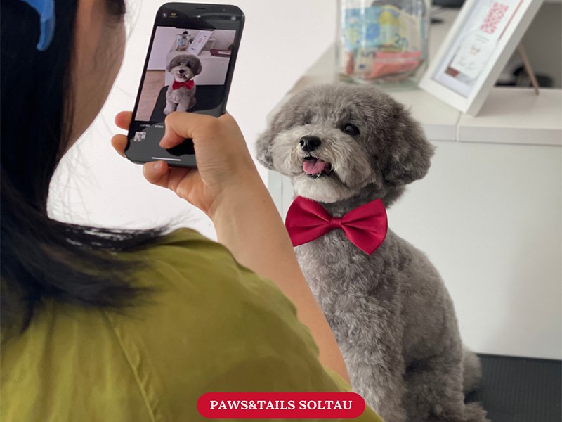 Paws and Tails UG aus Soltau