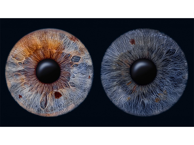 BLICKWINKEL Fotografie - aus Uelzen