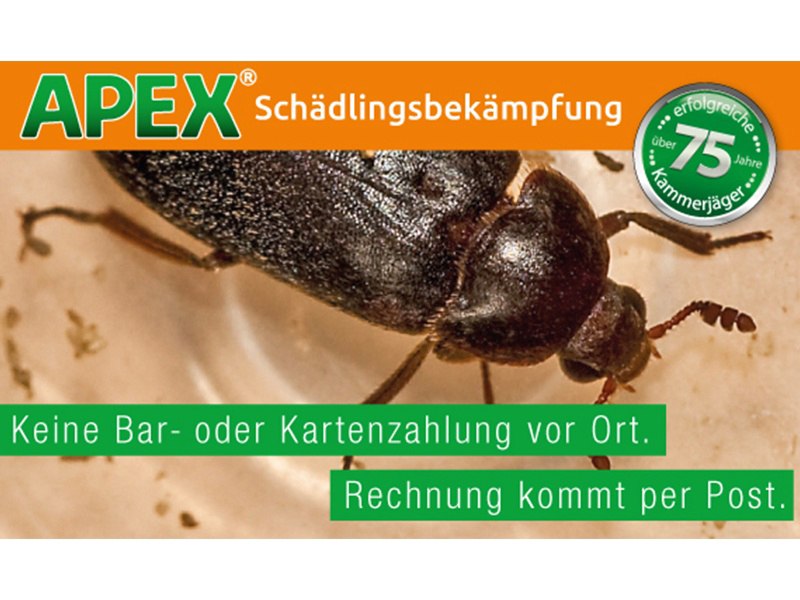 APEX Schädlingsbekämpfung aus Köln APEX Schädlingsbekämpfung aus Köln