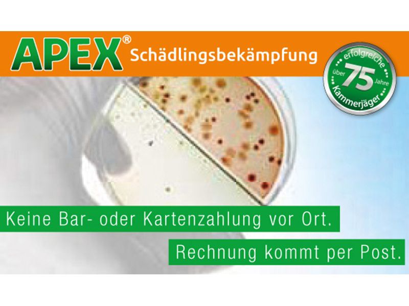 APEX Schädlingsbekämpfung aus Köln APEX Schädlingsbekämpfung aus Köln