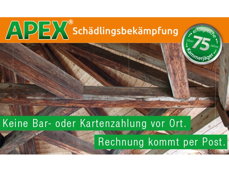 APEX Schädlingsbekämpfung aus Köln APEX Schädlingsbekämpfung aus Köln